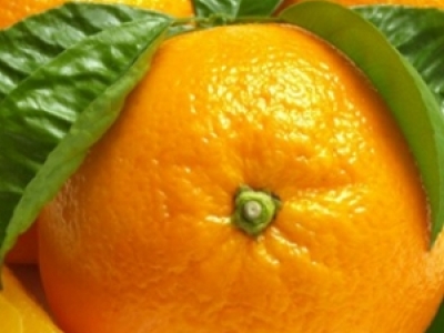 o(h)l(f)] ˮҲܳԳl(f)