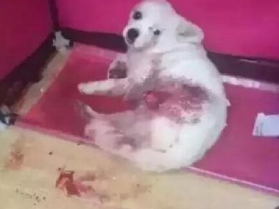 LŰ¼Ůl