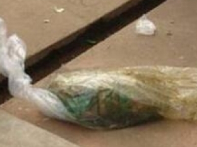 30qŮʿ̝(g)YƬ