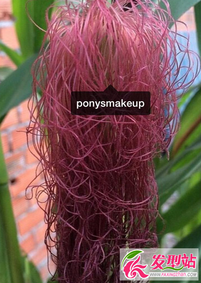 pony,,,ins,Ⱦl(f)