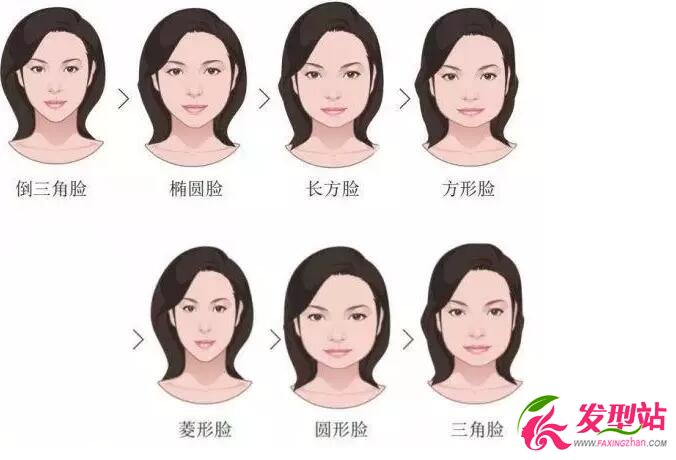 臉型