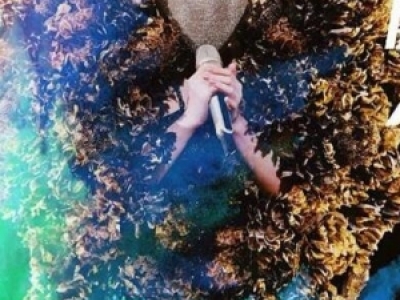 泪cݽҕ 桶顷һҪҸ̫ 