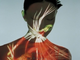 ݟoü đǰl(wi)ͻԼӲձF