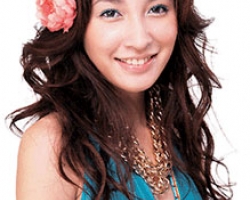 2|(zh)l(f)ͷQ罻(chng) |(zh)Rβ l(f)ͽ̳ L(fng)؂