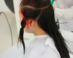 Ů԰l(f)] WRչpɫȾl(f) l(f)OӋ