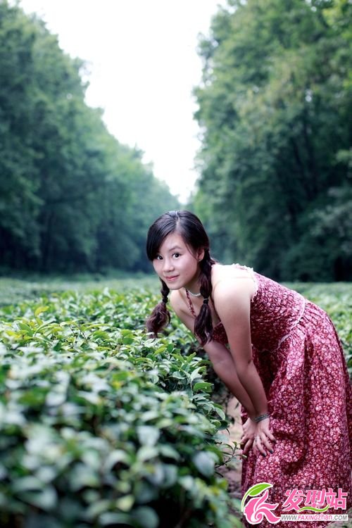 采茶女歡快的羊角辮 采茶女歡快的羊角辮