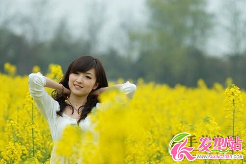 菊花菜中的春色 菊花菜中的春色