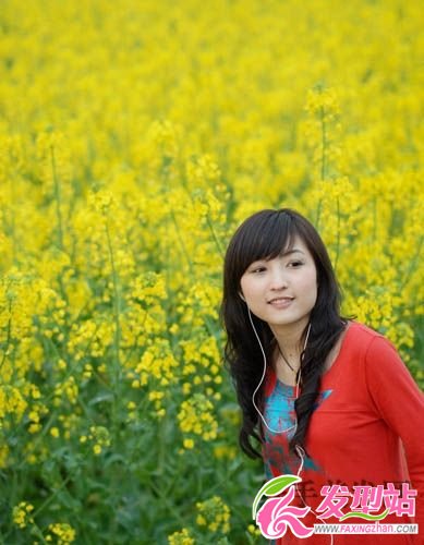 菊花菜中的春色 菊花菜中的春色