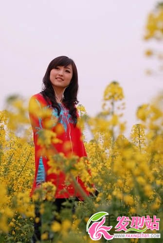 菊花菜中的春色 菊花菜中的春色