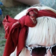 l(f) ]
