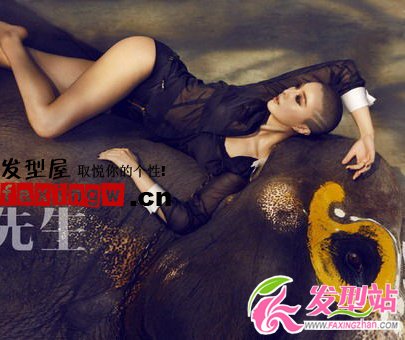 女生子彈頭圖片 范冰冰超短發(fā)寫(xiě)真照片