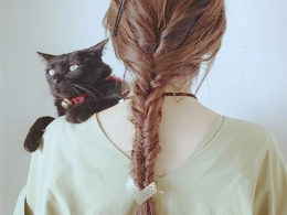 ɭŮϵl(f)͈DƬ ɭϵL(fng)