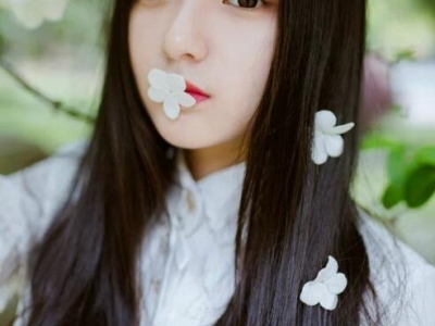 2017L(zhng)l(f) F(xin)nʽеl(f)