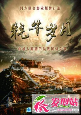 《牦牛歲月》