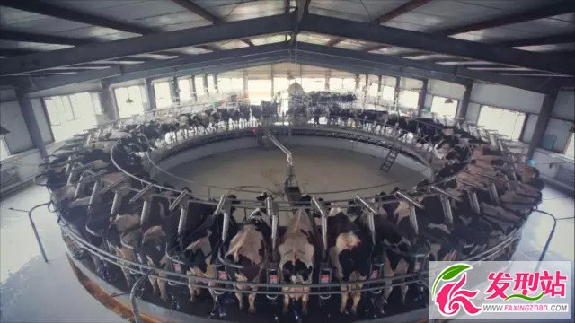 ▲1865牧場(chǎng)輪盤(pán)擠奶器