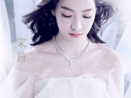 Ů˽O(sh)Ӌ(j) ٴl(f)ͅ
