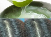 JCίÓl(f) JCo(h)l(f)Һ