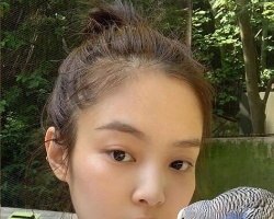 Ů^ ˽^3̎׌ĄӲ