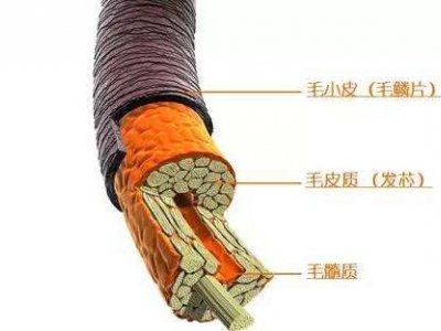 Ҋ^l(f)Щ