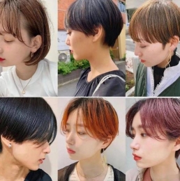 ܚgӭṴ̊l(f)x soQ°l(f)ͳ