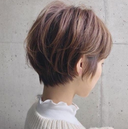 2025ϵ̰l(f)] ޜpg@|S