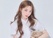 ֻl(f)L(zhng)l(f)ôԭ(li)(do)µl(f)L(zhng)l(f)ԭ@(g)