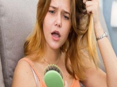 ֲl(f)ܳԵʳЩ ֲl(f)ʳ