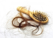 a(b)\^(gu)(do)Ól(f)ԭA(y) Ҫ˽